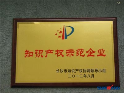 先导式创新推动开云官方注册-开云(中国)
智能知识产权工作驶入快车道