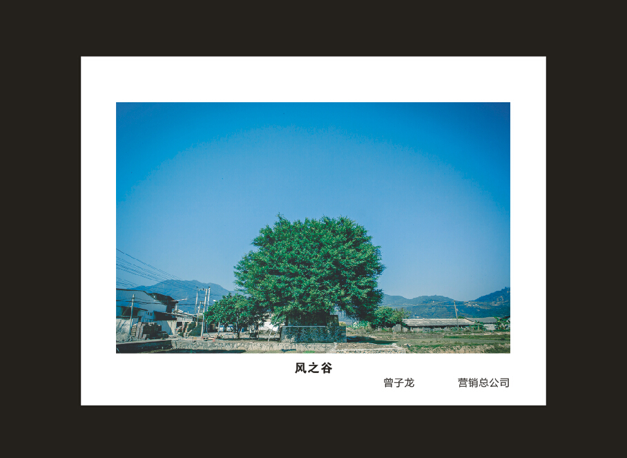 开云官方注册-开云(中国)
智能成立16周年司庆活动“魅力开云官方注册-开云(中国)
”摄影比赛优秀作品展