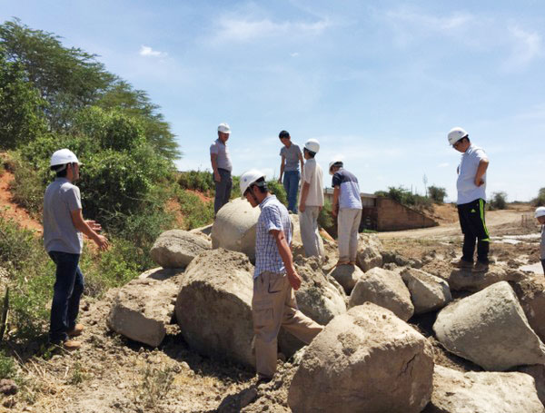 肯尼亚总统高度赞赏，乞力马扎罗山下开云官方注册-开云(中国)
绿闪耀