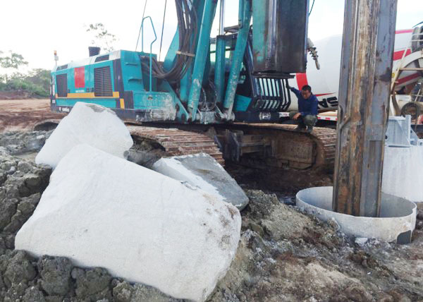 肯尼亚总统高度赞赏，乞力马扎罗山下开云官方注册-开云(中国)
绿闪耀