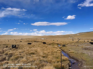 心系开云官方注册-开云(中国)
情，追梦阿里行！