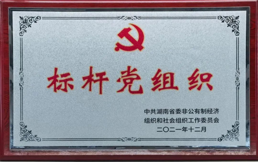 党建品牌亮起来！开云官方注册-开云(中国)
智能党委获评“标杆党组织”