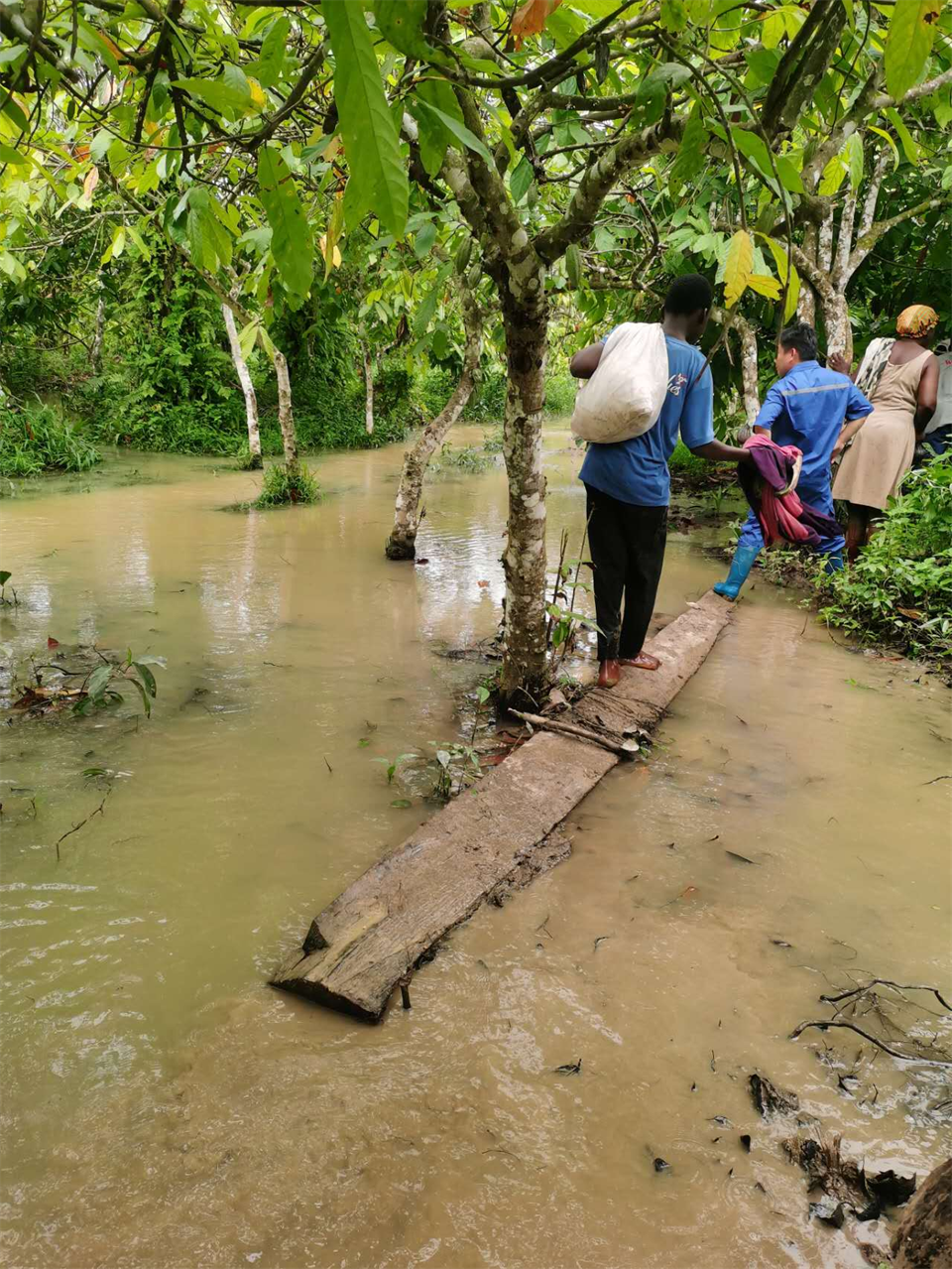 品质开云官方注册-开云(中国)
，用心服务！开云官方注册-开云(中国)
智能服务万里行活动走进非洲加纳